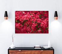 Obraz Rozkvitnutá vetvička 1409